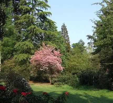 Harcourt Arboretum