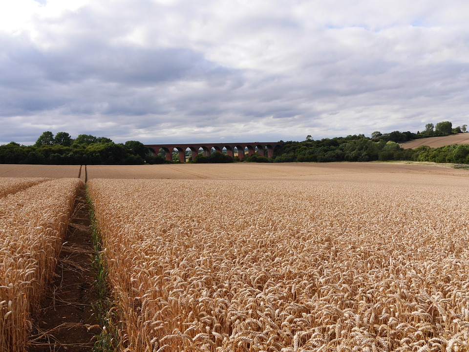 Leicestershire