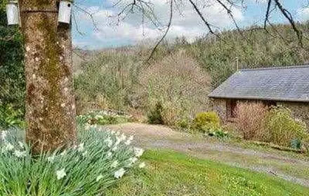 Maple Tree Cottage
